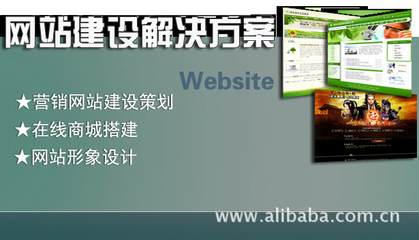 臻晟軟件 江門ERP企業管理軟件專業開發與網站設計與開發服務